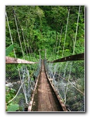 Lavena-Coastal-Walk-Bouma-National-Park-Taveuni-Fiji-064