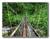 Lavena-Coastal-Walk-Bouma-National-Park-Taveuni-Fiji-065