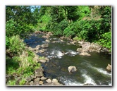 Lavena-Coastal-Walk-Bouma-National-Park-Taveuni-Fiji-066