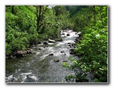 Lavena-Coastal-Walk-Bouma-National-Park-Taveuni-Fiji-068