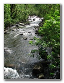 Lavena-Coastal-Walk-Bouma-National-Park-Taveuni-Fiji-069