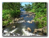 Lavena-Coastal-Walk-Bouma-National-Park-Taveuni-Fiji-070