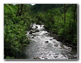 Lavena-Coastal-Walk-Bouma-National-Park-Taveuni-Fiji-071