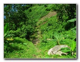 Lavena-Coastal-Walk-Bouma-National-Park-Taveuni-Fiji-072