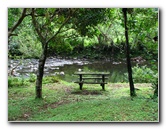 Lavena-Coastal-Walk-Bouma-National-Park-Taveuni-Fiji-088