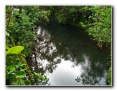 Lavena-Coastal-Walk-Bouma-National-Park-Taveuni-Fiji-089