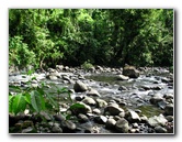 Lavena-Coastal-Walk-Bouma-National-Park-Taveuni-Fiji-093