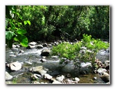 Lavena-Coastal-Walk-Bouma-National-Park-Taveuni-Fiji-094