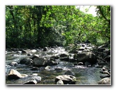 Lavena-Coastal-Walk-Bouma-National-Park-Taveuni-Fiji-095