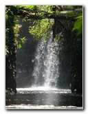 Lavena-Coastal-Walk-Bouma-National-Park-Taveuni-Fiji-096