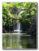 Lavena-Coastal-Walk-Bouma-National-Park-Taveuni-Fiji-097