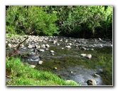 Lavena-Coastal-Walk-Bouma-National-Park-Taveuni-Fiji-103