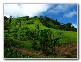 Lavena-Coastal-Walk-Bouma-National-Park-Taveuni-Fiji-108