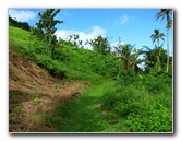 Lavena-Coastal-Walk-Bouma-National-Park-Taveuni-Fiji-109