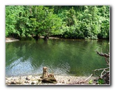 Lavena-Coastal-Walk-Bouma-National-Park-Taveuni-Fiji-116