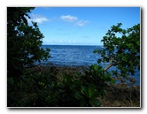 Lavena-Coastal-Walk-Bouma-National-Park-Taveuni-Fiji-117