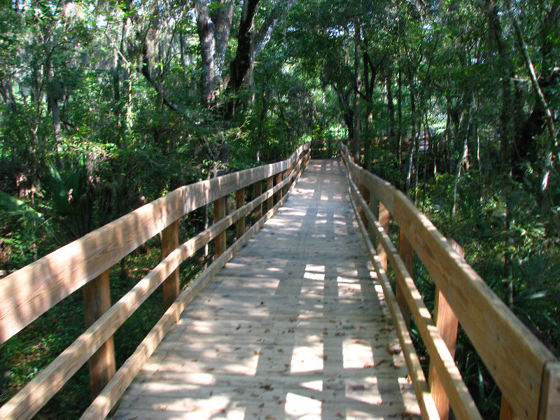 Lettuce-Lake-Park-Tampa-FL-006