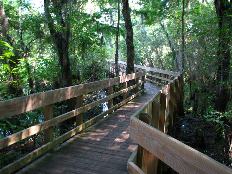 Lettuce-Lake-Park-Tampa-FL-007