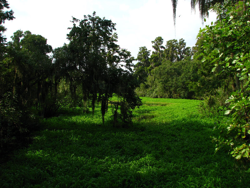 Lettuce-Lake-Park-Tampa-FL-025