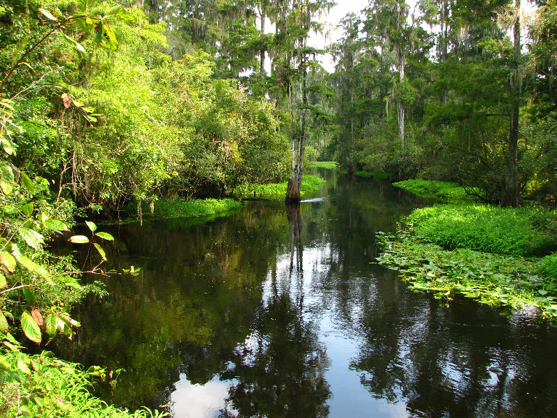 Lettuce-Lake-Park-Tampa-FL-032