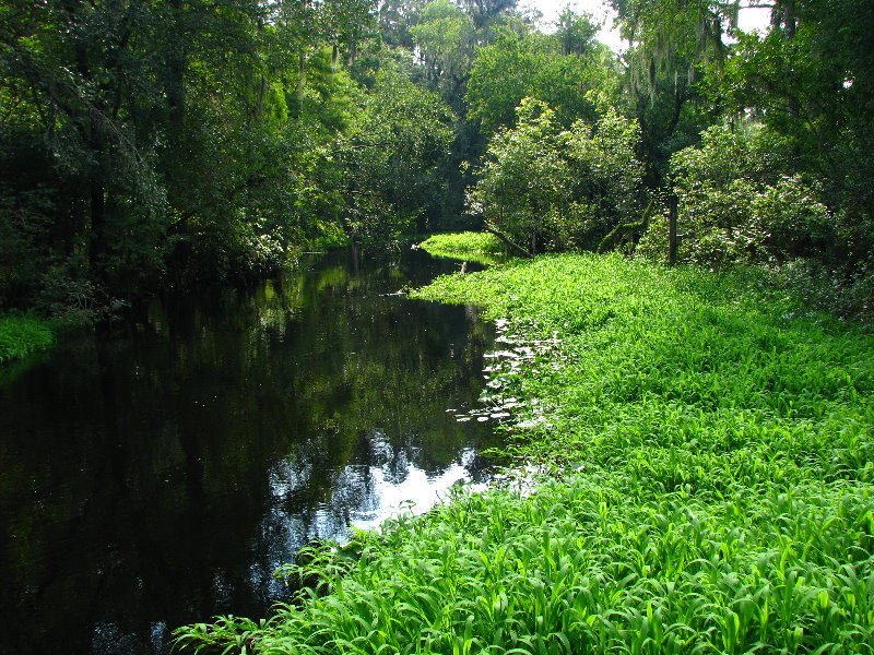 Lettuce-Lake-Park-Tampa-FL-033