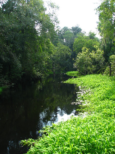 Lettuce-Lake-Park-Tampa-FL-035