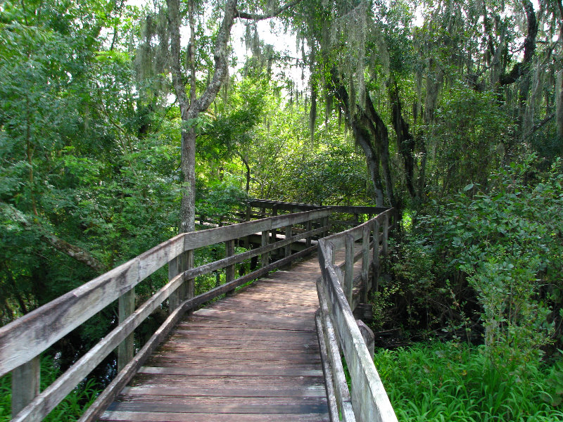 Lettuce-Lake-Park-Tampa-FL-041