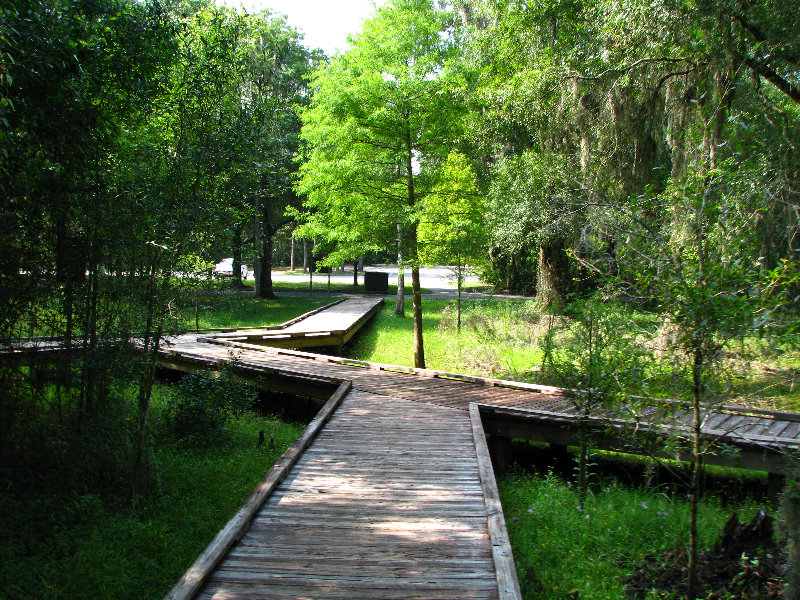 Lettuce-Lake-Park-Tampa-FL-056