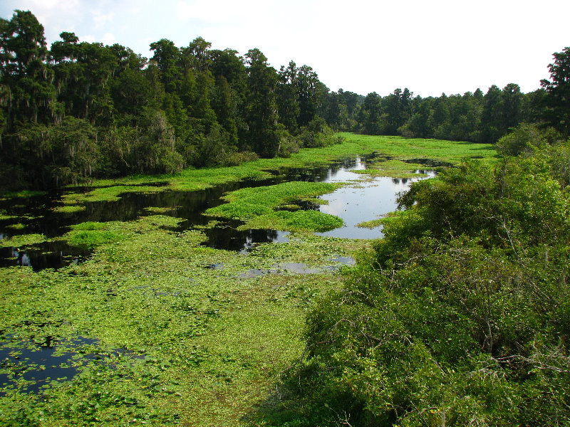 Lettuce-Lake-Park-Tampa-FL-071