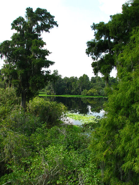 Lettuce-Lake-Park-Tampa-FL-075