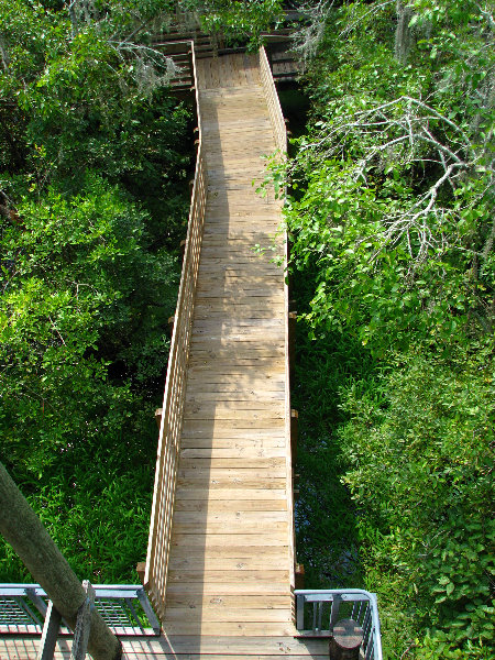 Lettuce-Lake-Park-Tampa-FL-076