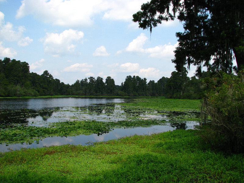 Lettuce-Lake-Park-Tampa-FL-078