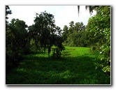 Lettuce-Lake-Park-Tampa-FL-025
