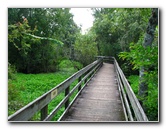 Lettuce-Lake-Park-Tampa-FL-043