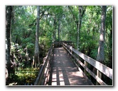 Lettuce-Lake-Park-Tampa-FL-051