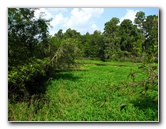 Lettuce-Lake-Park-Tampa-FL-067