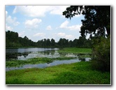 Lettuce-Lake-Park-Tampa-FL-078