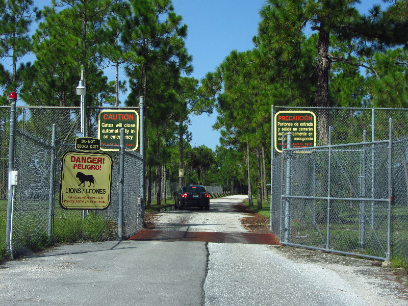 Lion-Country-Safari-Palm-Beach-County-FL-008