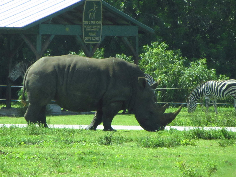 Lion-Country-Safari-Palm-Beach-County-FL-039