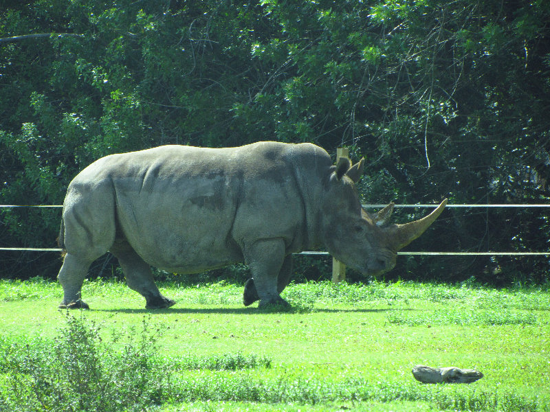 Lion-Country-Safari-Palm-Beach-County-FL-048