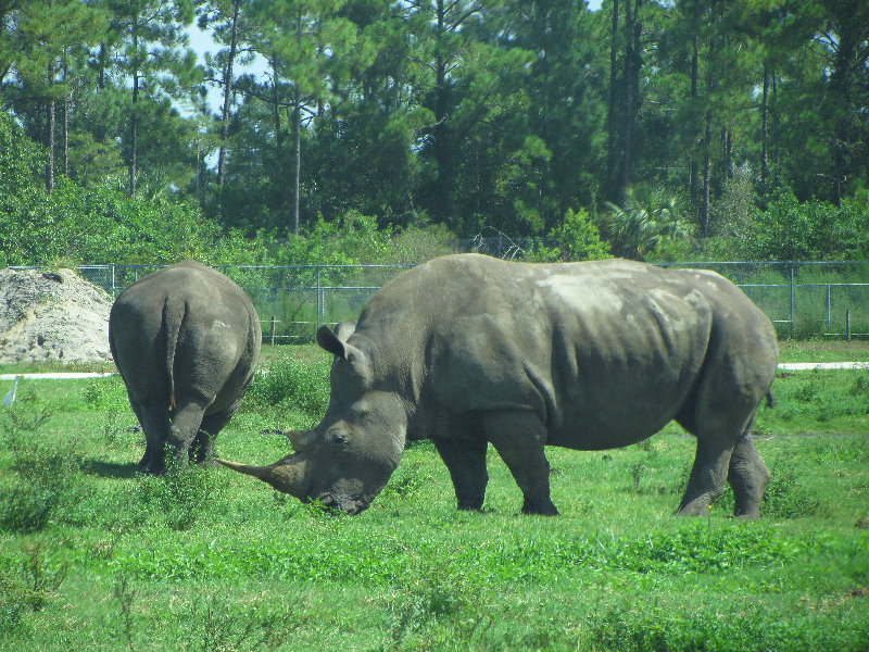 Lion-Country-Safari-Palm-Beach-County-FL-049