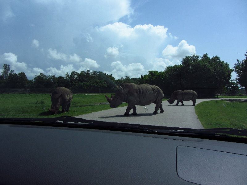 Lion-Country-Safari-Palm-Beach-County-FL-054