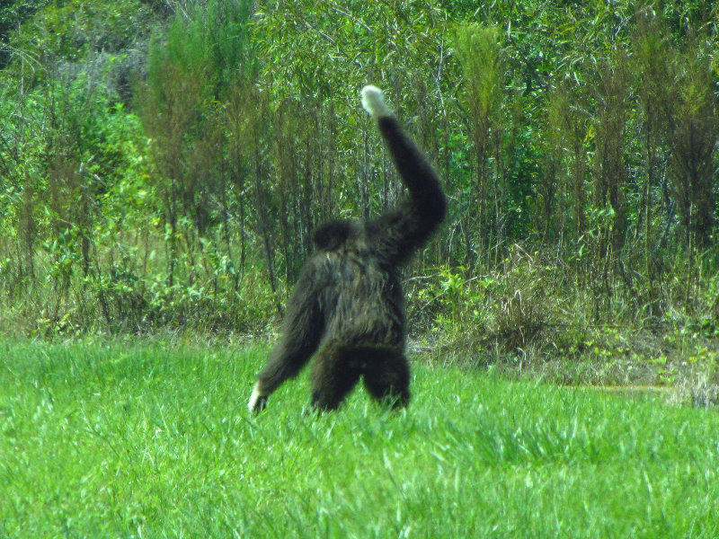 Lion-Country-Safari-Palm-Beach-County-FL-065