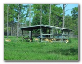 Lion-Country-Safari-Palm-Beach-County-FL-020
