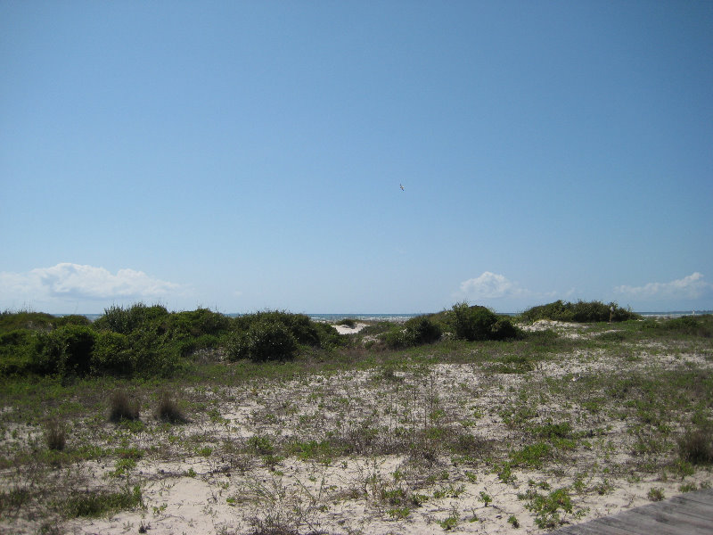 Little-Talbot-Island-State-Park-Jacksonville-FL-005