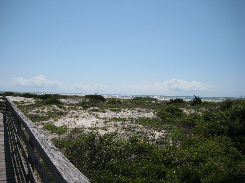 Little-Talbot-Island-State-Park-Jacksonville-FL-007