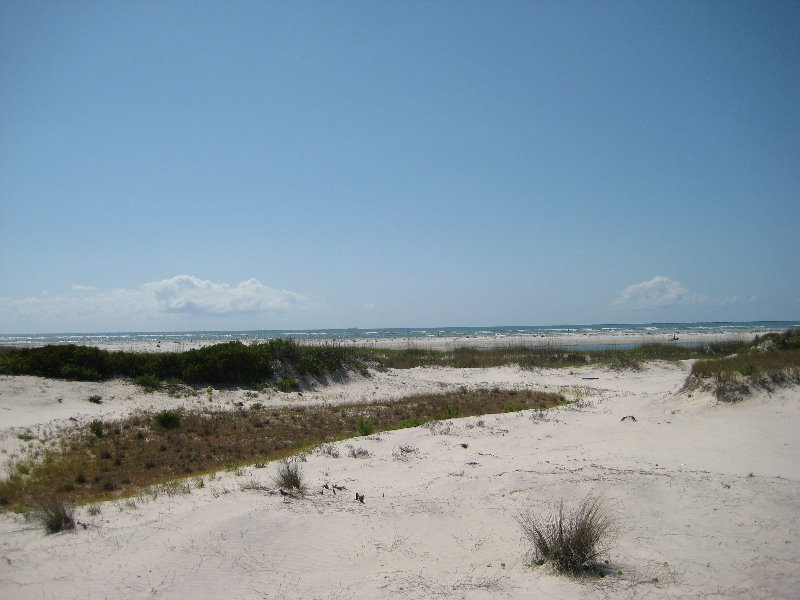 Little-Talbot-Island-State-Park-Jacksonville-FL-008