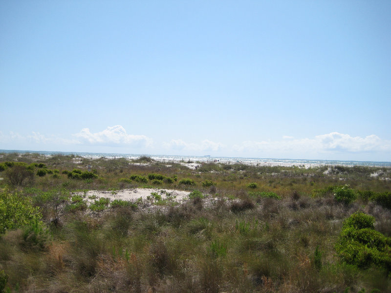 Little-Talbot-Island-State-Park-Jacksonville-FL-010