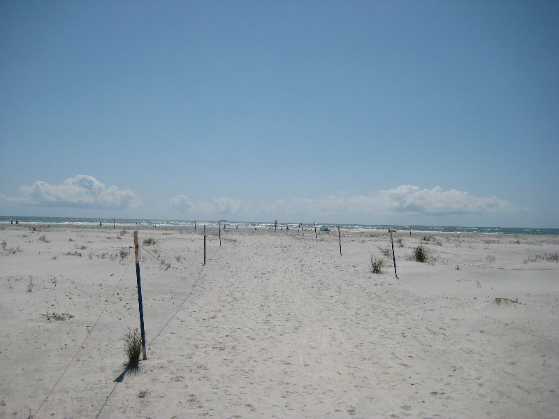 Little-Talbot-Island-State-Park-Jacksonville-FL-013