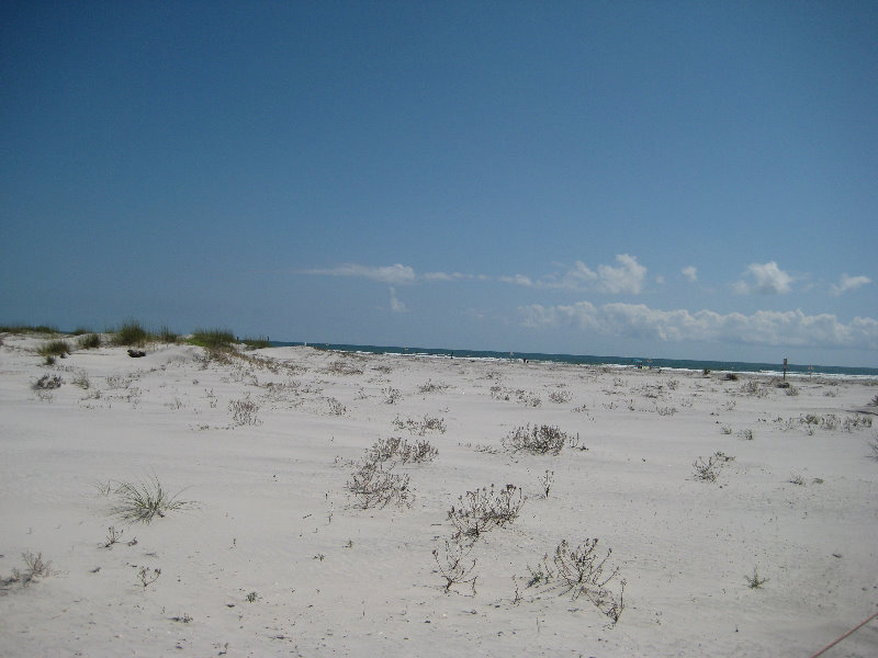 Little-Talbot-Island-State-Park-Jacksonville-FL-014